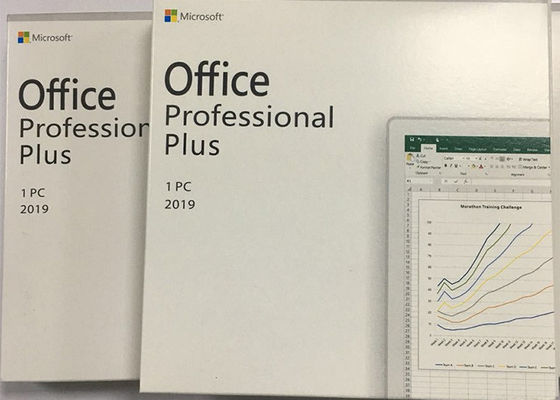 Microsoft Office Professional Plus 2019 DVD Retail Box Worldwide English Version